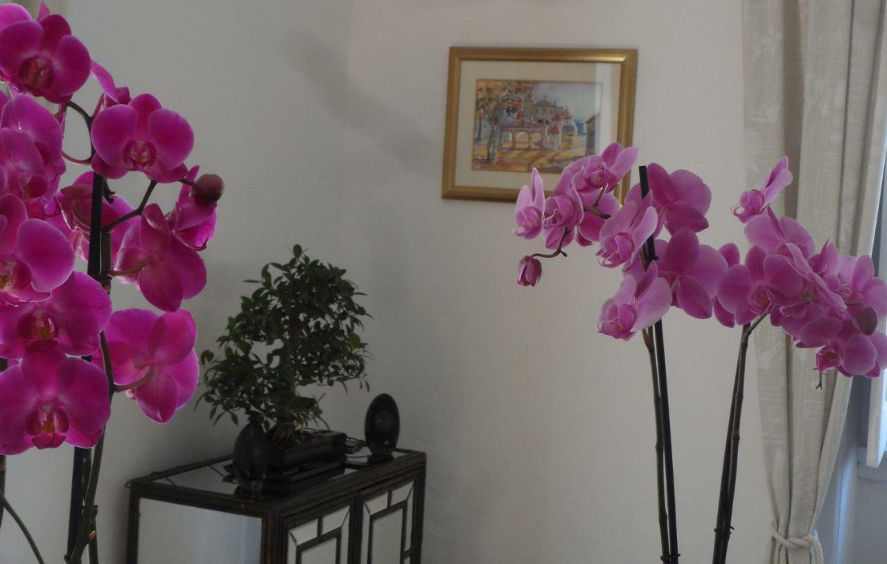 Hotel Casa Coïmbre Extérieur photo
